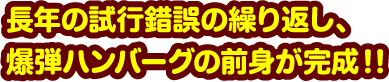 長年の試行錯誤の繰り返し、爆弾ハンバーグの前身が完成！！