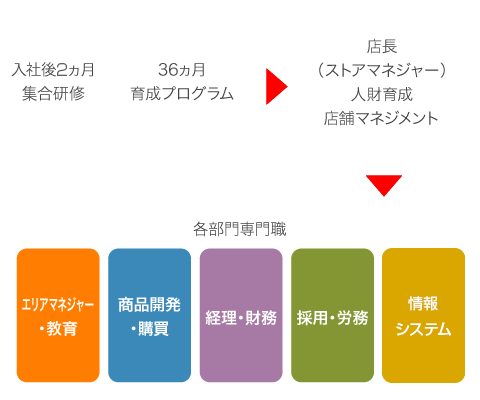 フライングガーデンの多様なキャリアパス